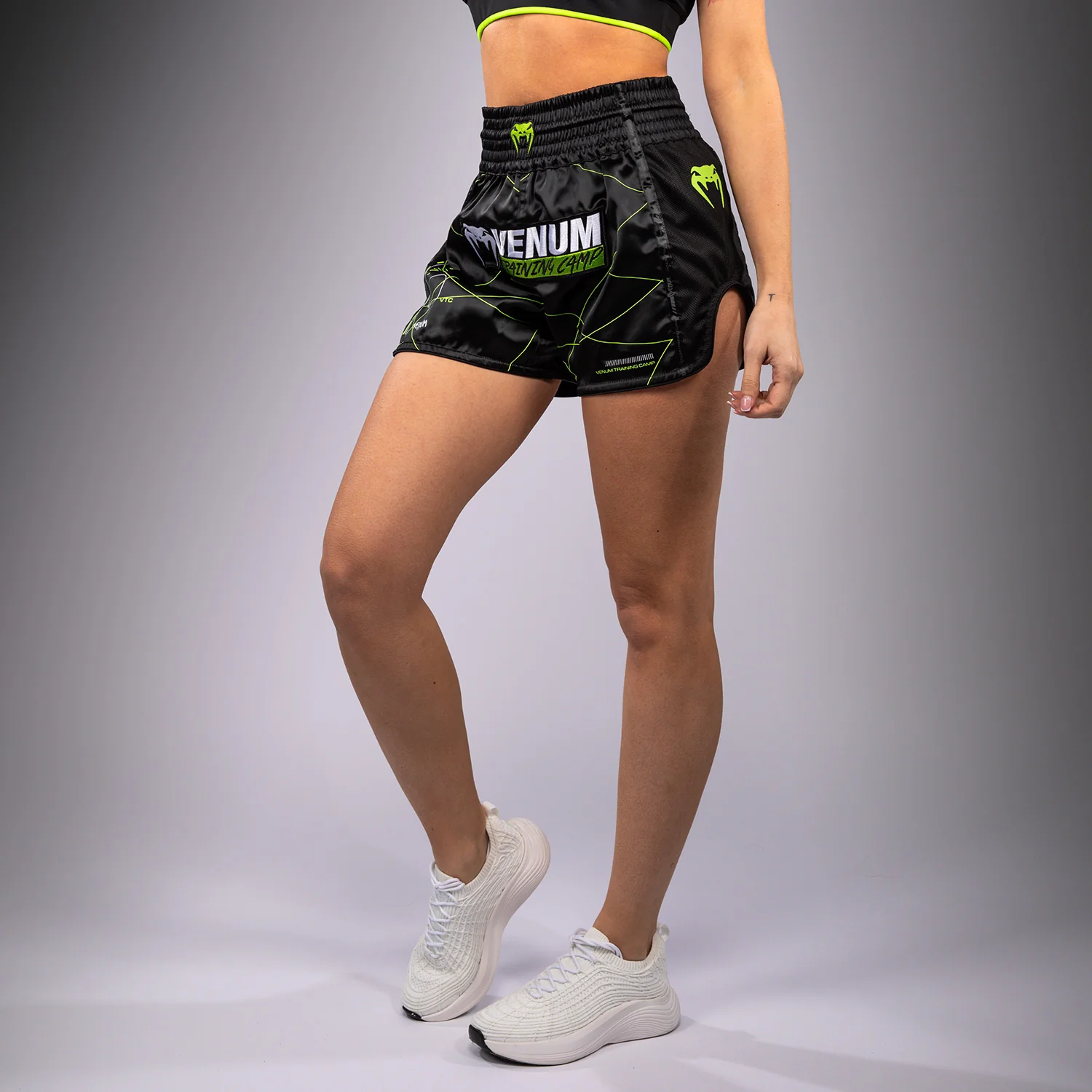 Miniature 2